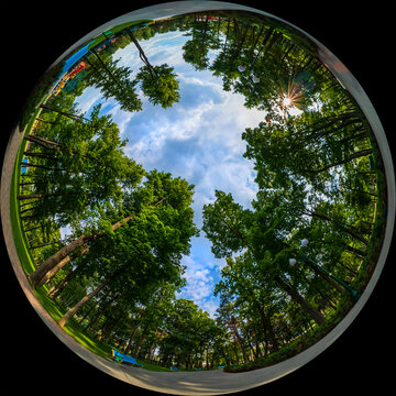 Wide angle 180 degree view shot through a circular fisheye lens. Garden or city park with trees and alley on a summer day. Fulldome photo format