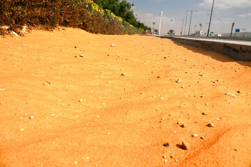 Road in the desert, highway construction. Emirate of Abu Dhabi