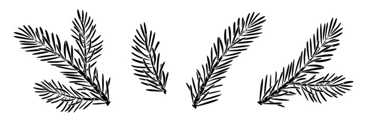 Christmas Larch silhouette set. Pine, spruce branch, evergreen tree, fir, vector icon, winter plants, New Year wood, holiday decoration. Hand drawn vector illustration.