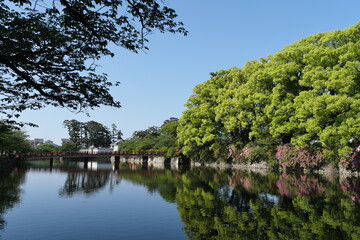 小田原城