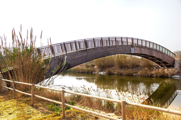 wooden bridge on nature trail