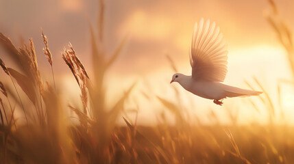 Peaceful Dove Soaring in Dawn-Lit Sky Over Serene Field, Symbolizing Hope and Renewal