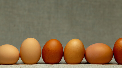 Chicken eggs, fresh and very good for your health