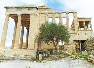Remains of the Pandroseion and the Erechtheum with the Sacred Olive Tree on the Acropolis of...