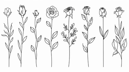 Flowers, continuous monoline plants, roses, leaves, branches. Blossom logos, minimalist illustration. Simple sketch, black and white. Use as floral icons or logos.