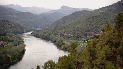 river landscape between wooded area and mountains on the horizon