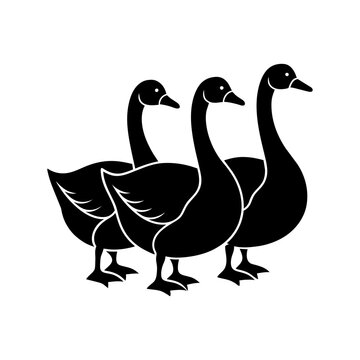 three black geese standing clip art preview