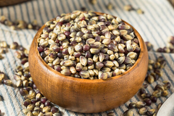 Dry Organic Purple Popcorn Kernels