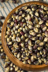 Dry Organic Purple Popcorn Kernels