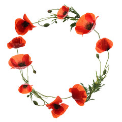 Wreath of beautiful wild flowers isolated on white