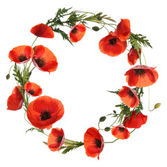 Wreath of beautiful wild flowers isolated on white