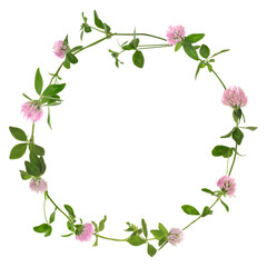 Wreath of beautiful wild flowers isolated on white