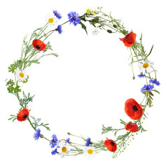 Wreath of beautiful wild flowers isolated on white