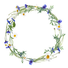 Wreath of beautiful wild flowers isolated on white