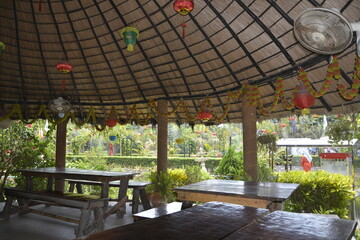 Nature , flower , fauna and Park