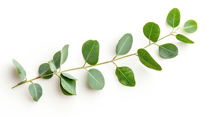 Verdant Dance: A Symphony of Green Leaves