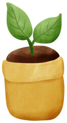 plant in a pot