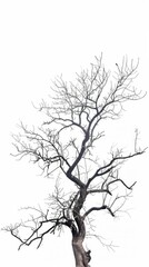 Fototapeta premium Illustration of a wilted tree with barren branches against a white backdrop, symbolizing feelings of despair and hopelessness