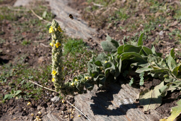 New Zealand landscape on a sunny winter day
