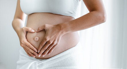 pregnancy, motherhood, parenthood, pregnant, birth, human, prenatal, parent, stomach, mother. A...