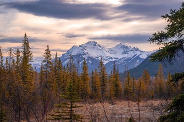 Warm Sunrise Over Banff Mountains In The Spring