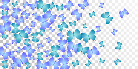 Romantic blue butterflies isolated vector wallpaper. Summer ornate insects. Fancy butterflies isolated children background. Gentle wings moths graphic design. Tropical beings.