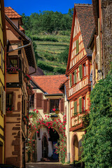 Ornate traditional half timbered houses with blooming flowers in a popular village on the Alsatian...