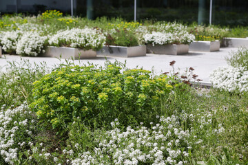 Modern garden design and terrace construction:Natural flagstones pavement with raised beds and pots made of polished premium steel with integrated lighting and planted with herbaceous perennials