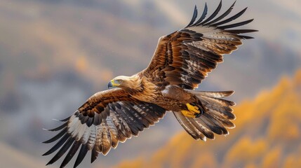 A majestic eagle soaring through the sky, its wings outstretched, as it surveys the vast landscape below with a keen eye.