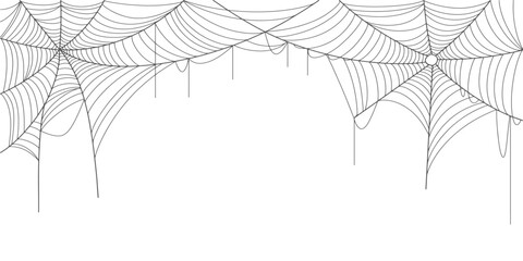 Spider web line art vector