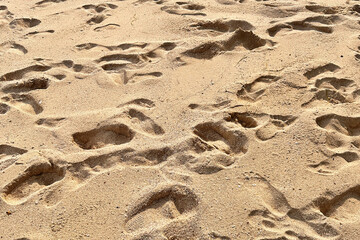 Photo of footprint in the sand in Thailand