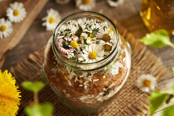 A jar filled with common daisy flowers and cane sugar - preparation of herbal syrup