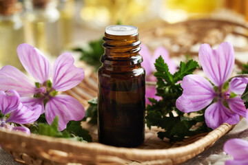 A bottle of mallow essential oil with fresh blooming malva sylvestris plant