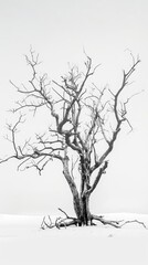 Illustration of a wilted tree with barren branches against a white backdrop, symbolizing feelings of despair and hopelessness