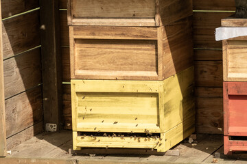 beehive with flying bees in the sun