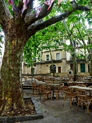 Montpellier May 2024: Visit the magnificent city of Montpellier in Occitanie. Street photos - View of the narrow streets