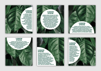 set of banners with space for text with eco-friendly natural photo with dark leaves beauty