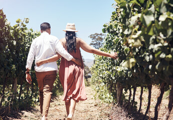 Back, walking and vineyard with couple, vacation and nature with plants, summer and honeymoon....