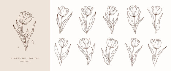 Tulip line art sketch flower. Hand drawn tulips bouquet black drawing. Abstract floral leaves. Vector illustration in outline style