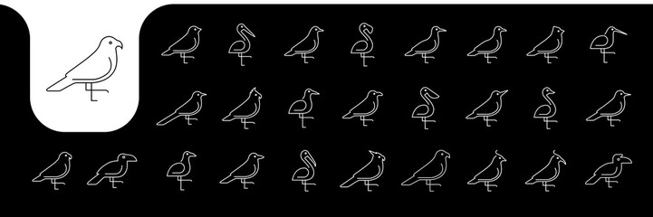 a kind of birds line minimal icon vector designs