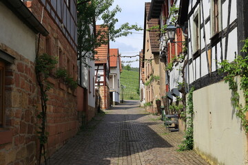 Blick durch eine straße im ort gleiszellen 