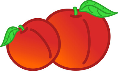 Illustration of Peach Fruit