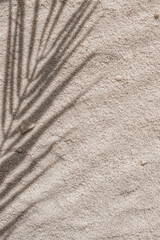 Aesthetic summer tropical background, earthy taupe beige beach sand texture with floral sunlight...