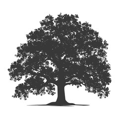 Silhouette oak tree full black color only