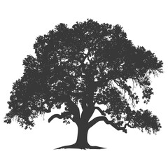 Fototapeta premium Silhouette oak tree full black color only