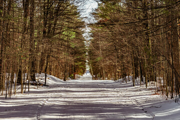 Hiking in winter in Oka National Park in Quebec, Canada. Snowy forest road in winter