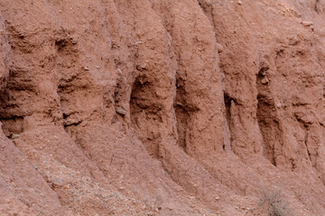 ABSTRACCIÓN DE TIERRA AGRIETADA