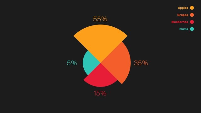 Modern Pie Graph Chart With Percentages and Details Infographic