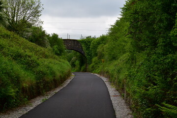 Fototapeta premium Old stone bridge. New Ross Greenway, New Ross, Co. Wexford, Ireland