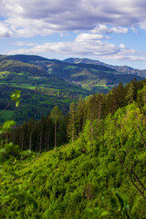 Obraz premium View of mountains covered with green forests against a cloudy sky